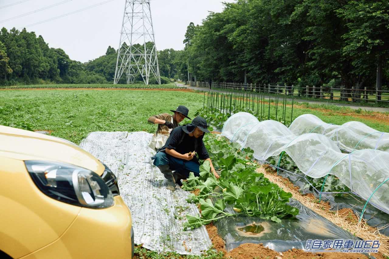 |ルノーがカングーオーナー同士が交流できる「カングーファーム」を成田ゆめ牧場内にオープン