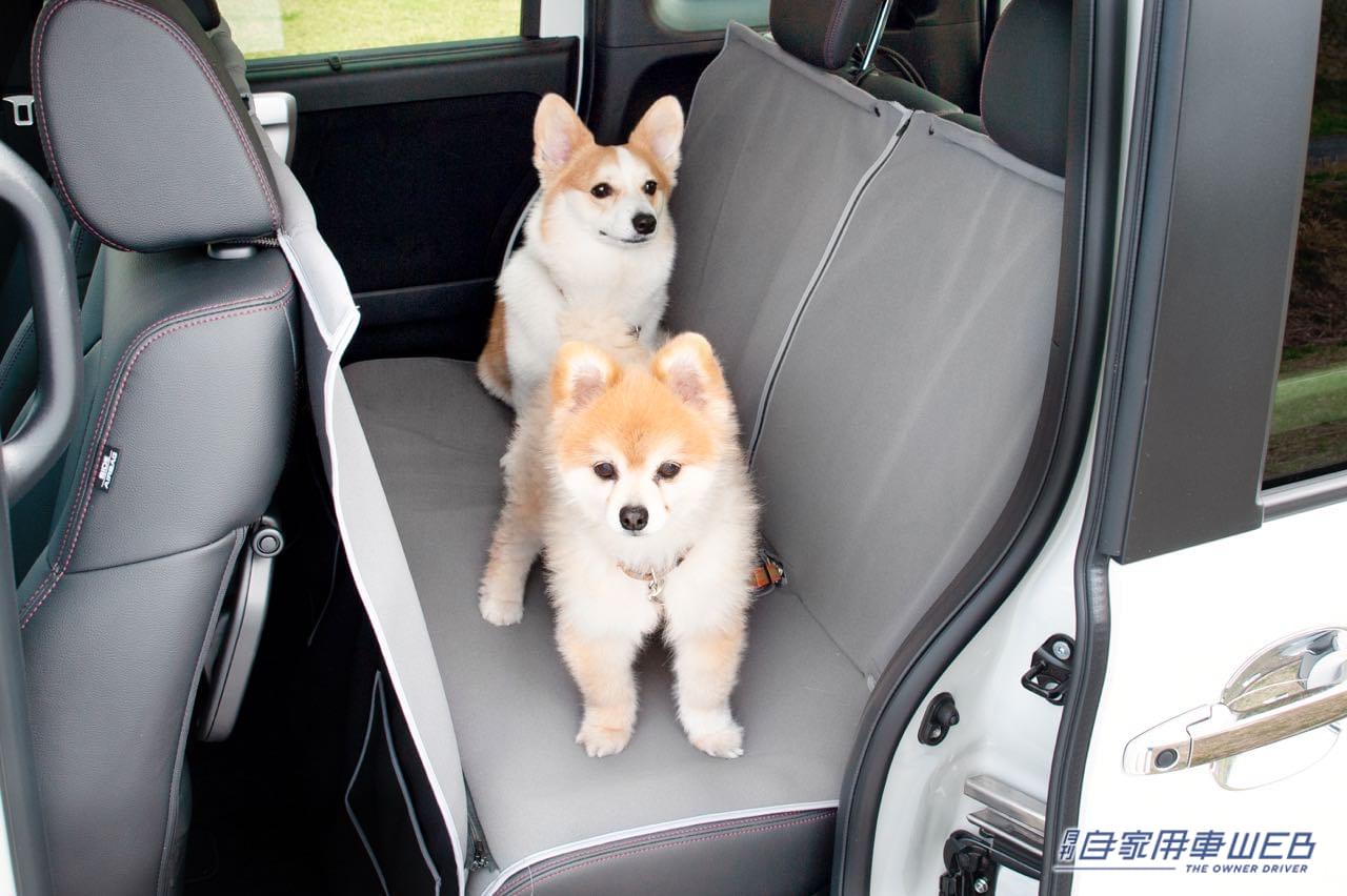 |愛犬家必見のイベント「アウトドアドッグフェスタin八ヶ岳 2022」にHonda Dogブースが出展、新型ステップワゴンも展示