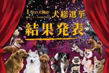 あなたの愛犬は何位?好きな犬種ランキング2022が発表!1位の犬種はキーケースに!犬好きドライバーなら絶対欲しい