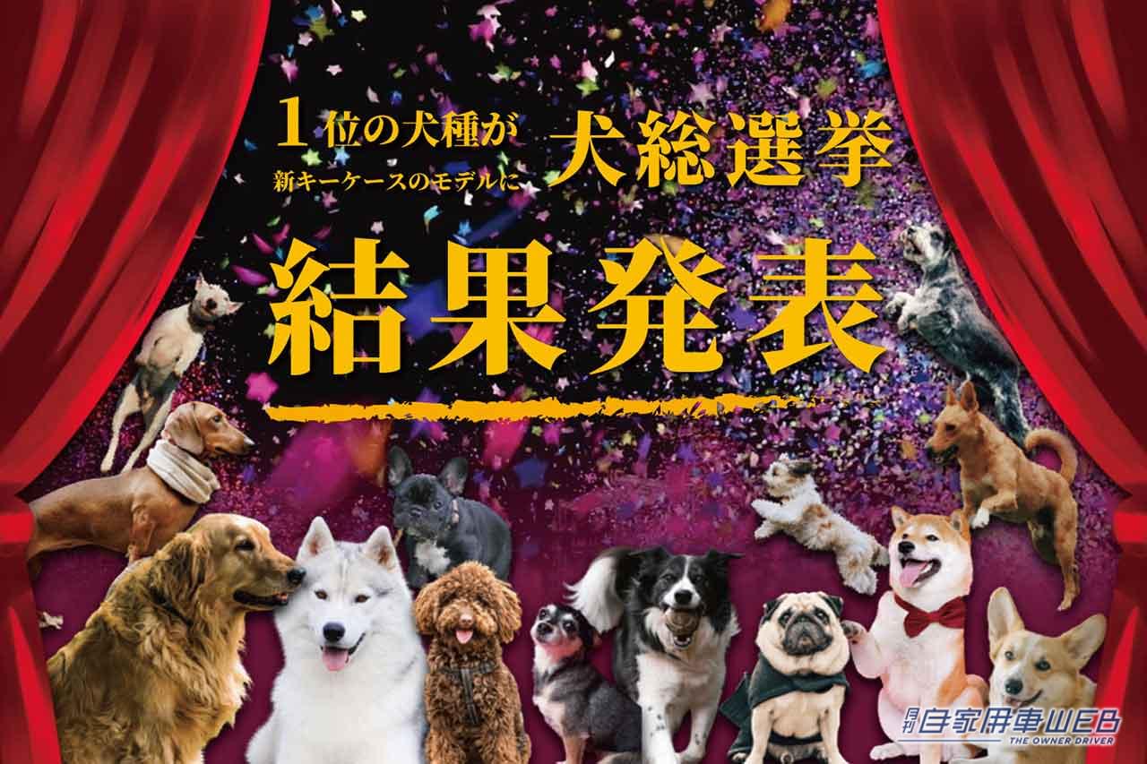 |あなたの愛犬は何位?好きな犬種ランキング2022が発表!1位の犬種はキーケースに!犬好きドライバーなら絶対欲しい