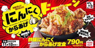 デカ盛りファン必食! からあげ&濃厚背脂という背徳感がたまらない『にんにくからあげ』が、からあげ定食専門店「からやま」に新登場!