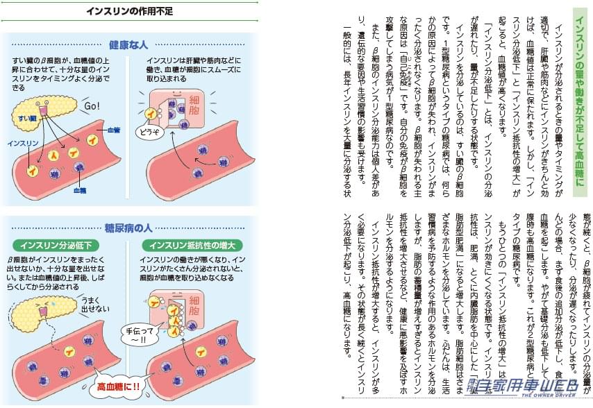|きちんと知れば怖くない!『ウルトラ図解 糖尿病』を読んで、続けやすい治療を!