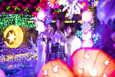 イルミネーションの上を歩ける!? walker +5年連続1位獲得の「伊豆高原グランイルミ~8th SEASON~」がいよいよスタート