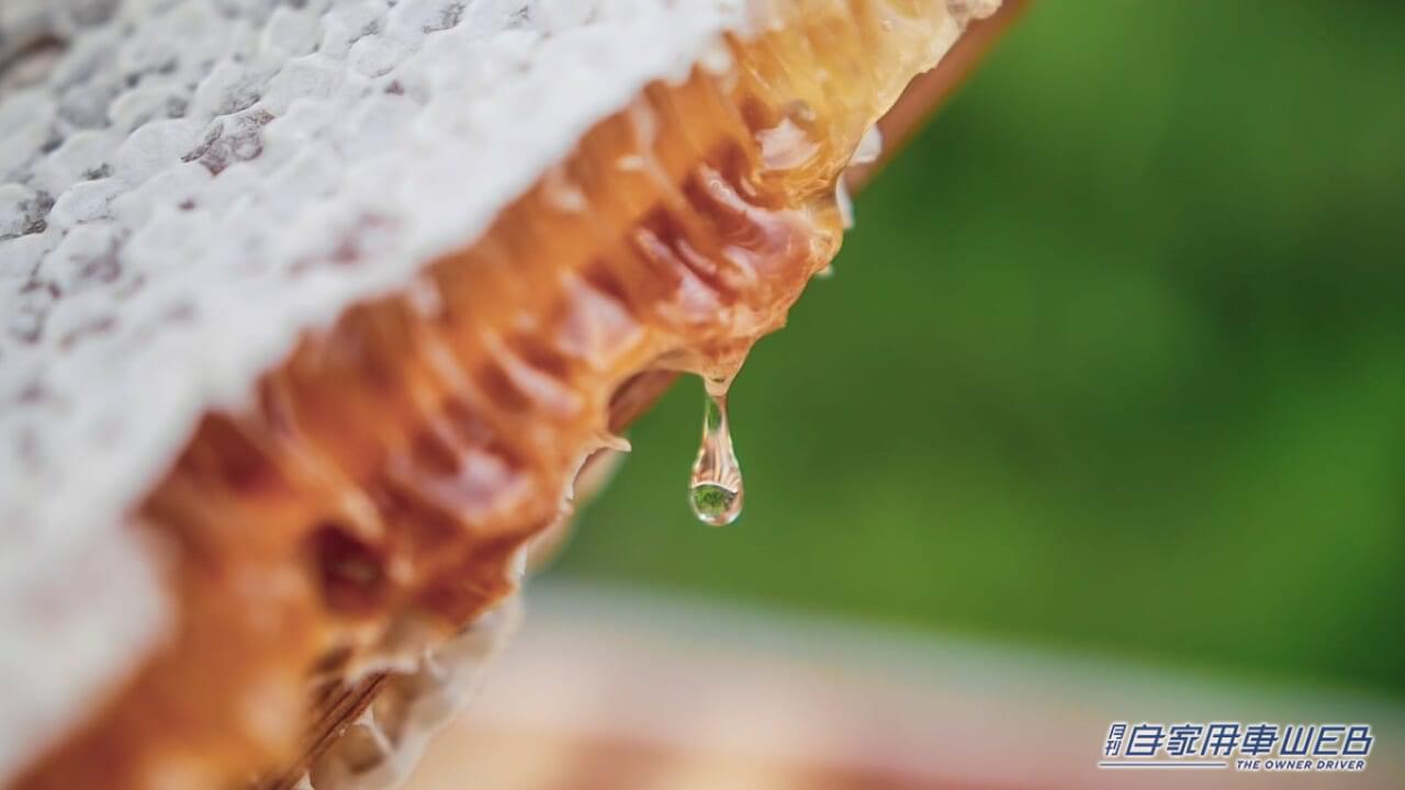 |車だけじゃない!ベントレーは高級ハチミツも作ってるって知ってた?