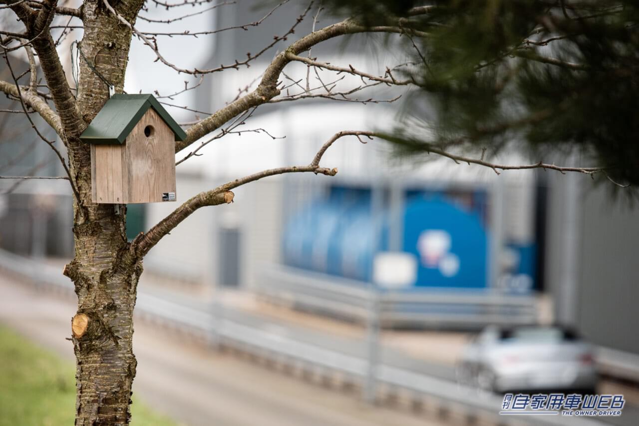 |車だけじゃない!ベントレーは高級ハチミツも作ってるって知ってた?