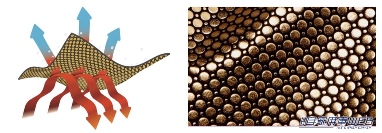 |カップヌードル×Columbia コラボ!オシャレとユーモア満載の『ブランケットポンチョ』が発売!