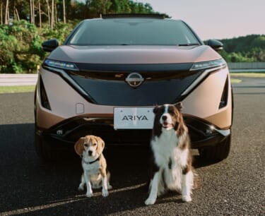 これならうちの愛犬も酔わない!日産が「Dog’s Best Friend」ビデオを公開!