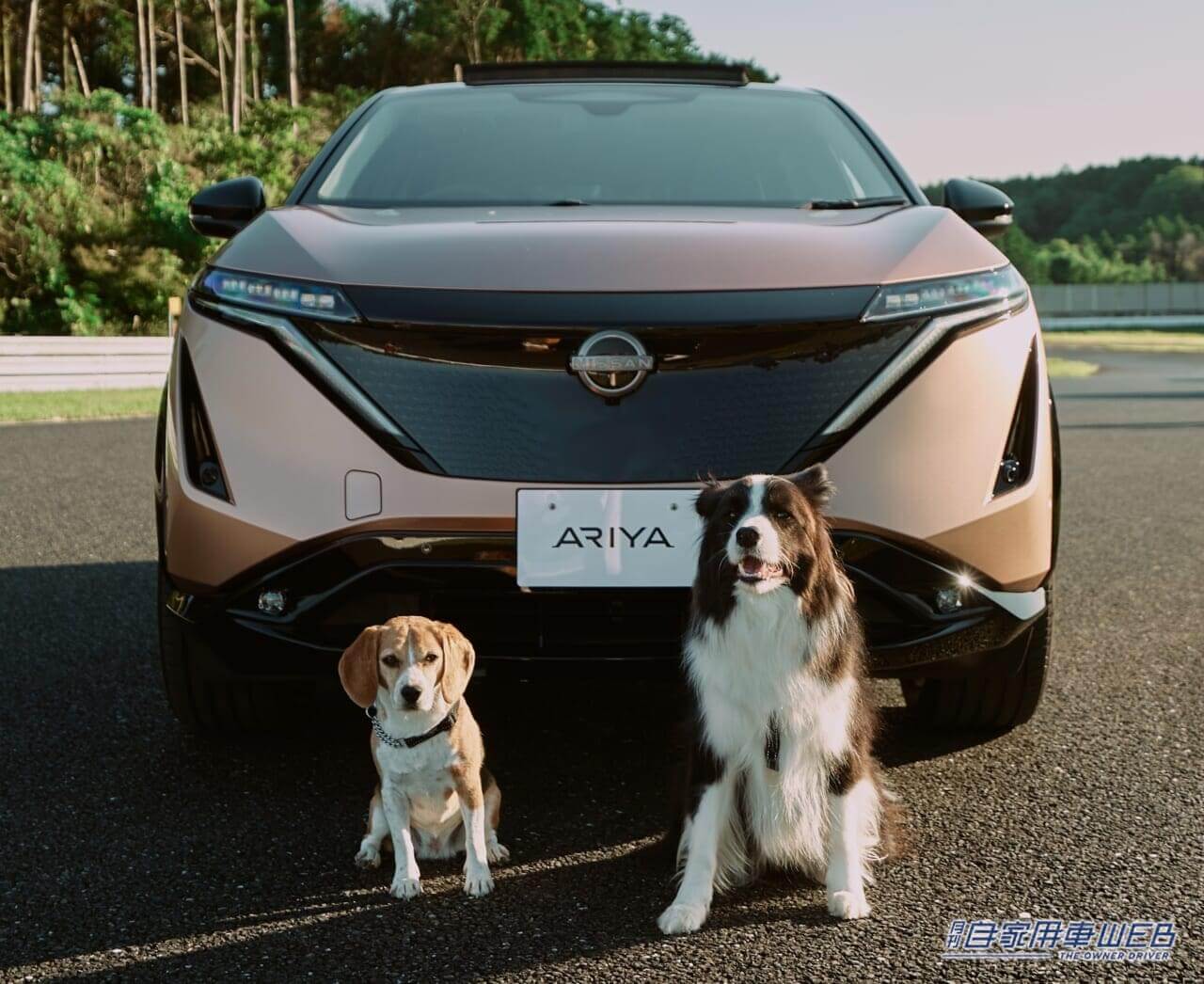 |これならうちの愛犬も酔わない!日産が「Dog’s Best Friend」ビデオを公開!