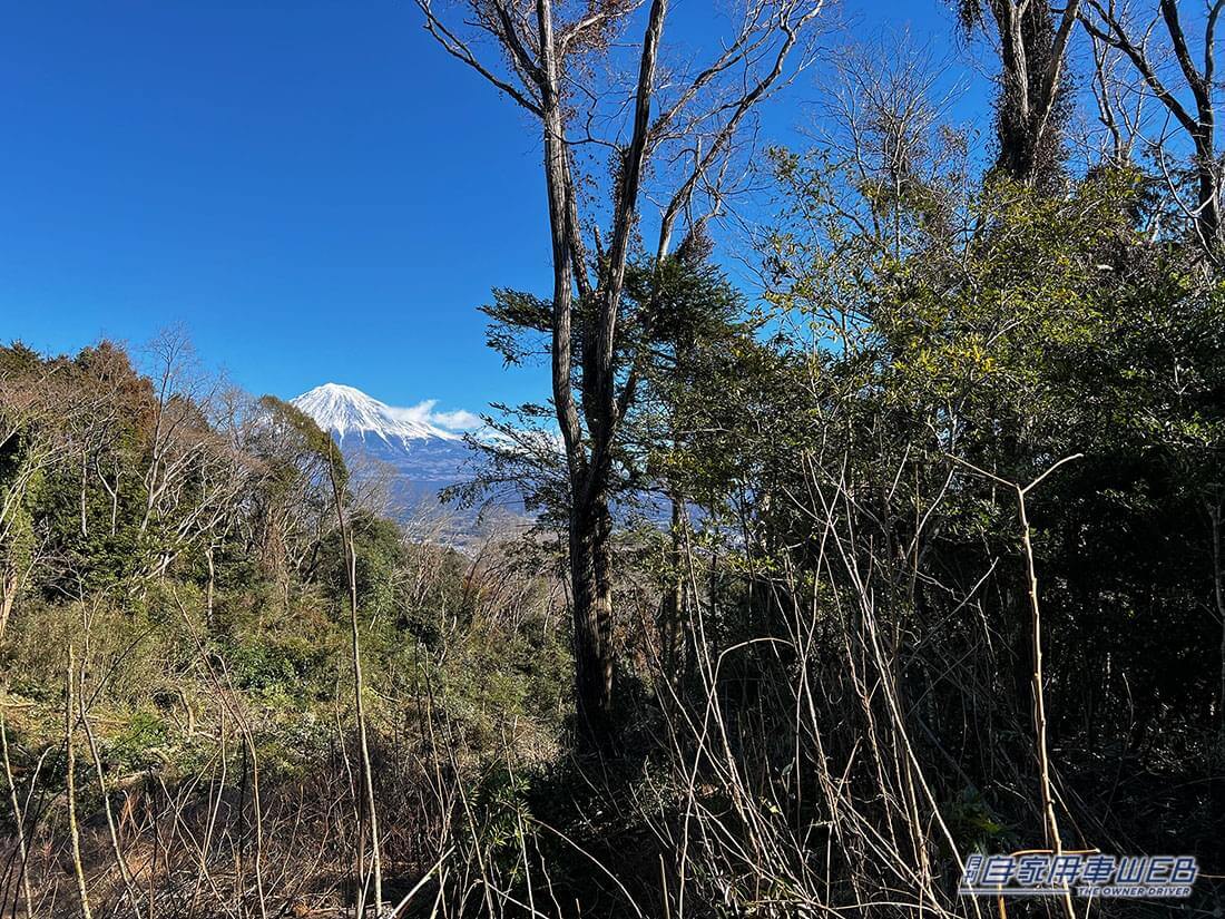 |キャンプ業界初!「山のサブスク」が5月に開始!自分だけの秘密基地を手に入れよう