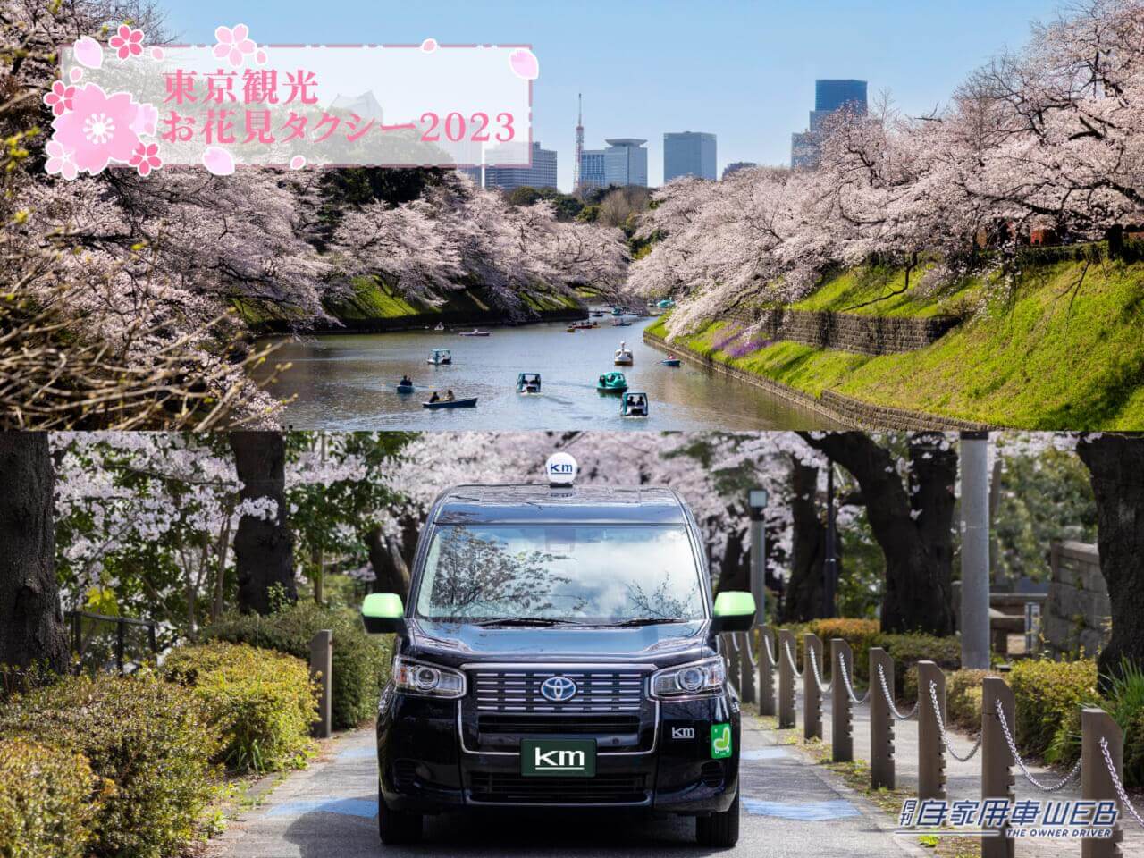 |桜の名所をタクシーで巡る「東京観光お花見タクシー2023」の予約が開始!