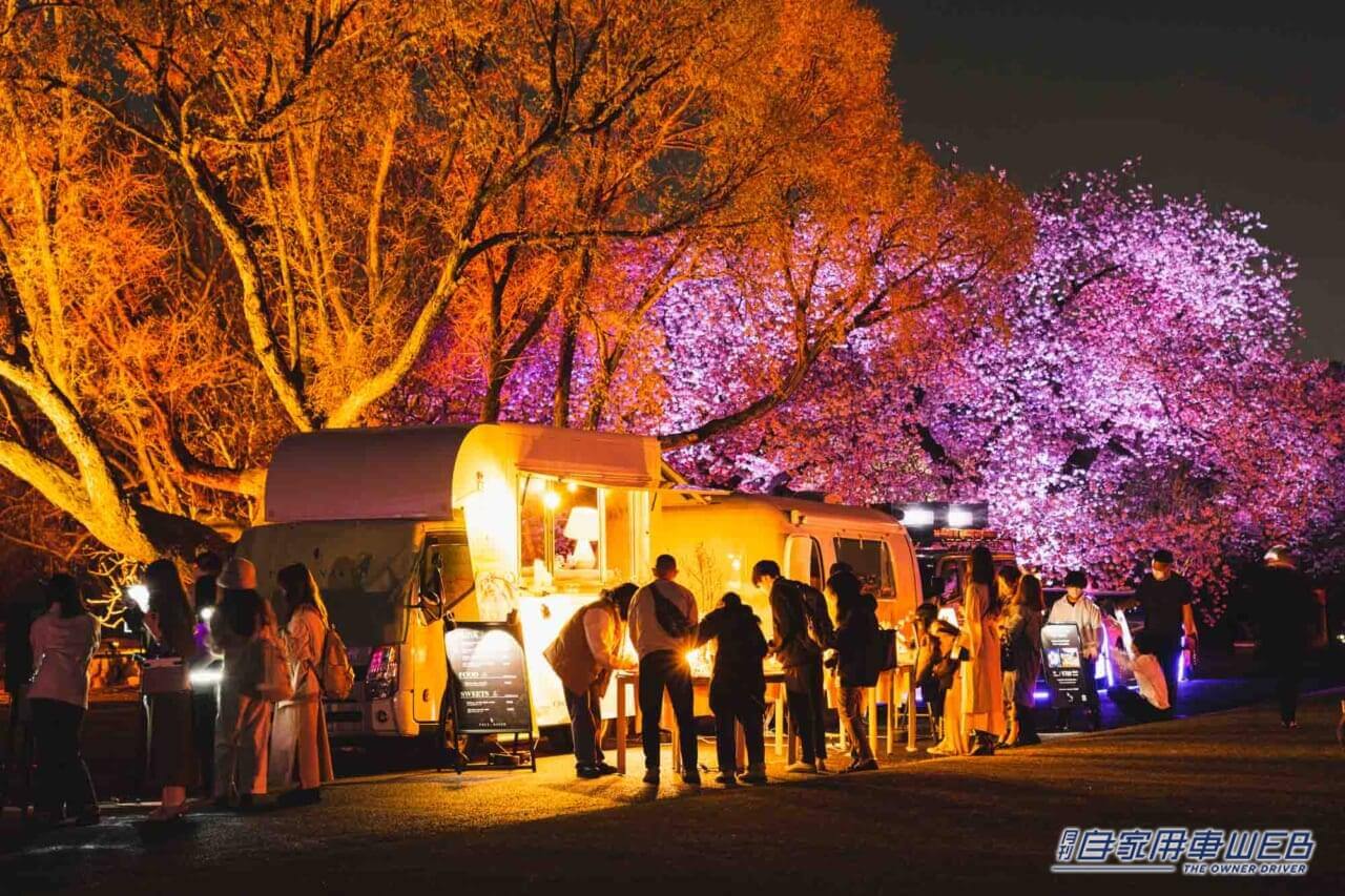 |トヨタ「MIRAI」が夜桜を彩る『NAKED桜の新宿御苑2023』