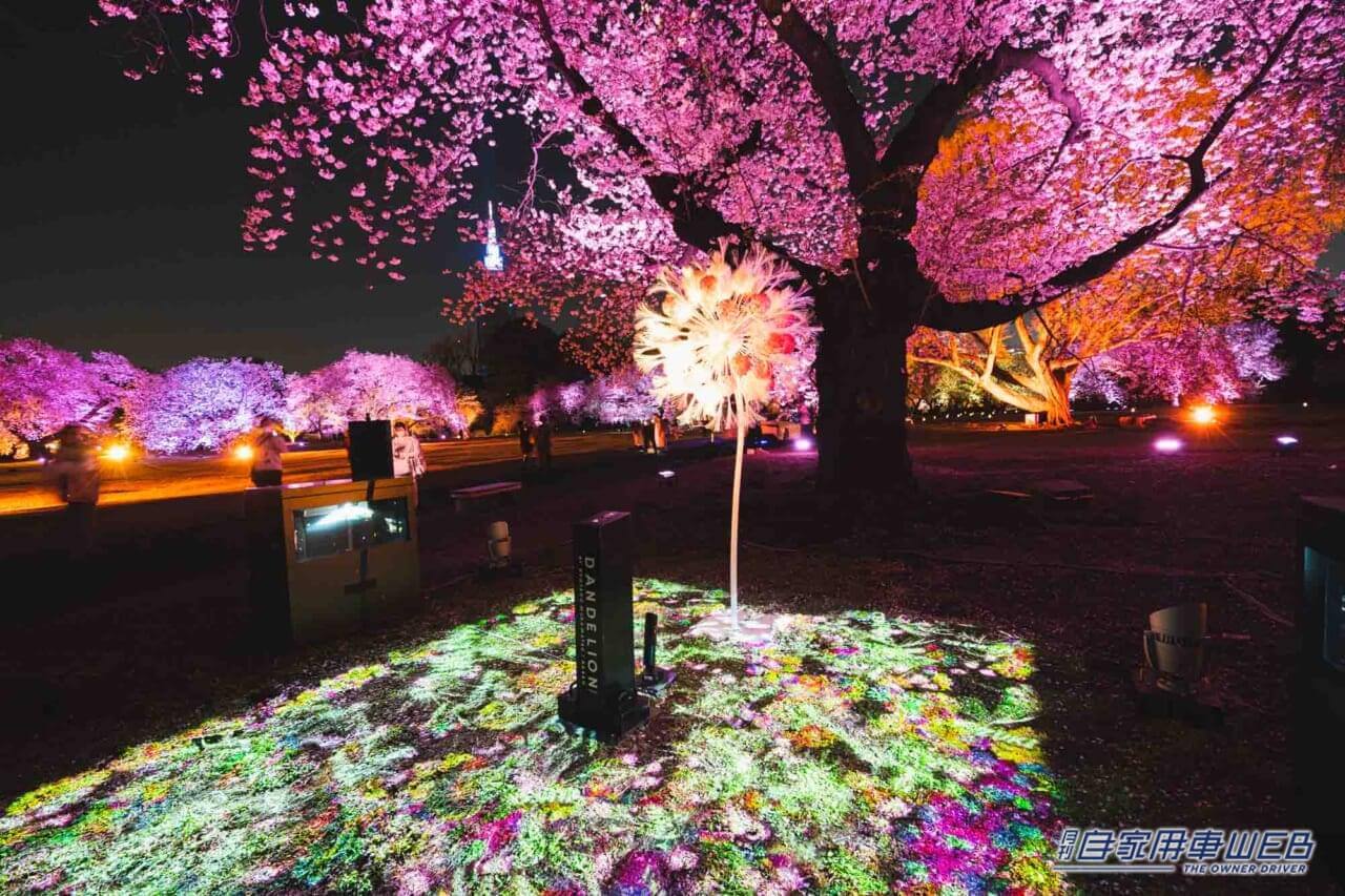 |トヨタ「MIRAI」が夜桜を彩る『NAKED桜の新宿御苑2023』