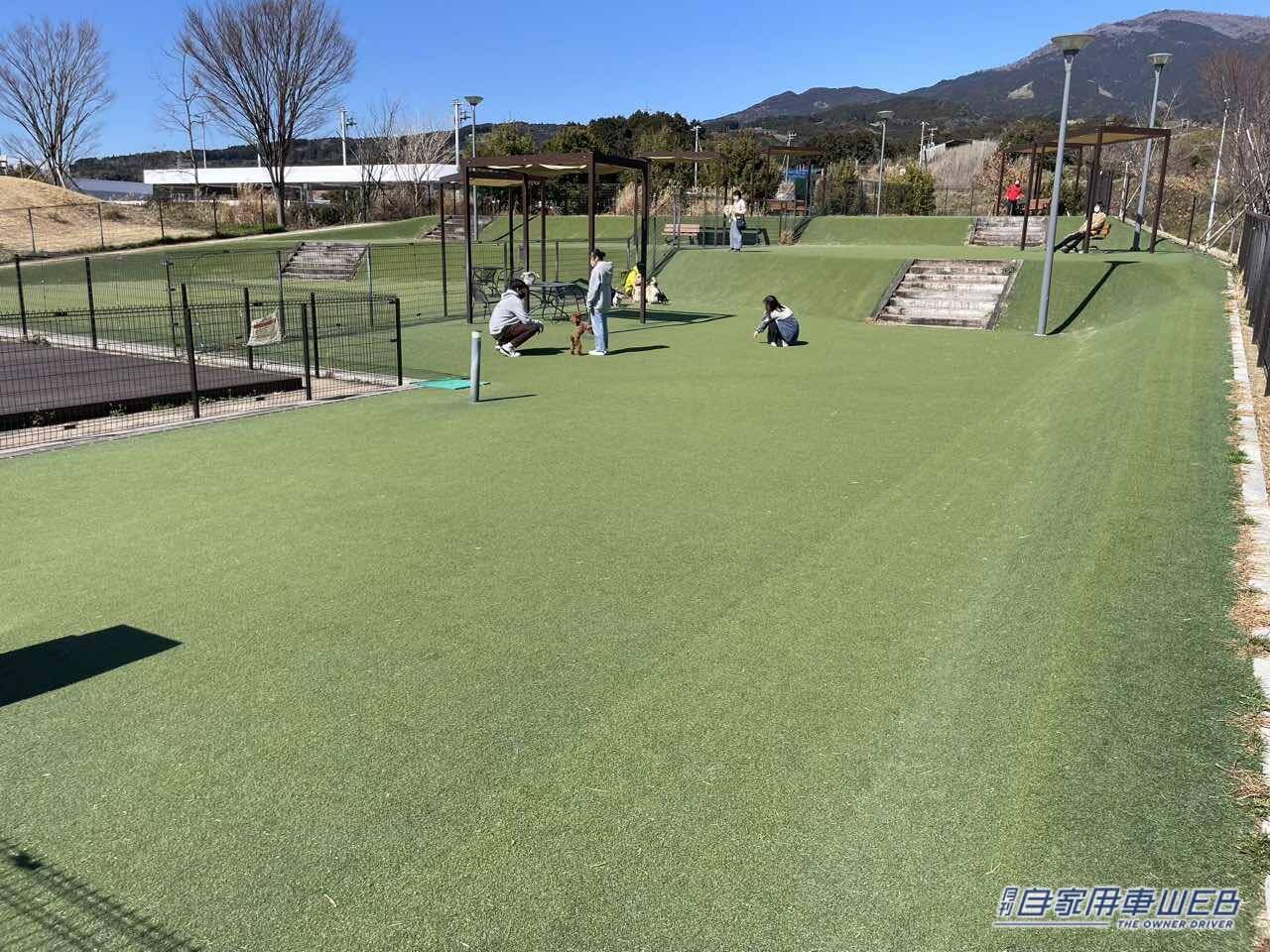 |【最新サービスエリア・パーキングエリア情報】駿河湾沼津サービスエリア(下り)は珍しいグルメが味わえる!