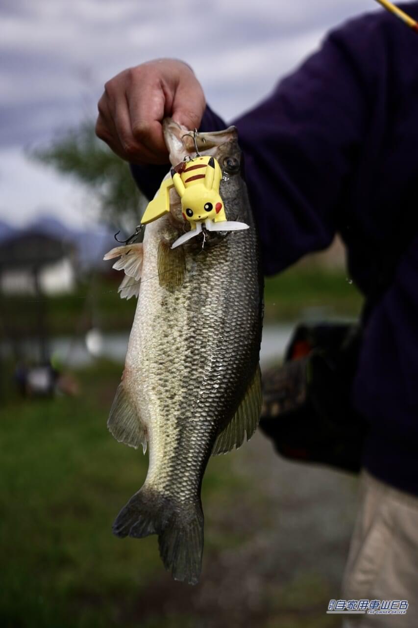 |群馬県前橋市に新たなレジャースポットが!バス釣りが楽しめる管理釣り場『BRGD POND(ブリゲードポンド)』が4月29日にオープン