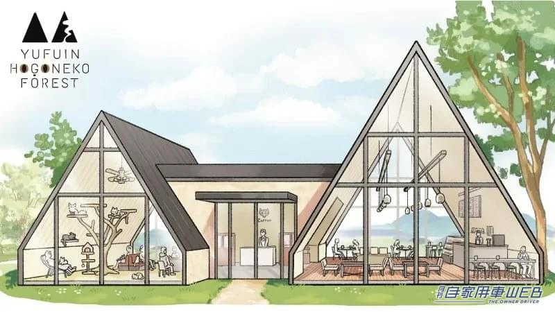 |ネコが主役のテーマパーク「YUFUIN HOGONEKO FOREST」が湯布院に!オープンは2023年秋