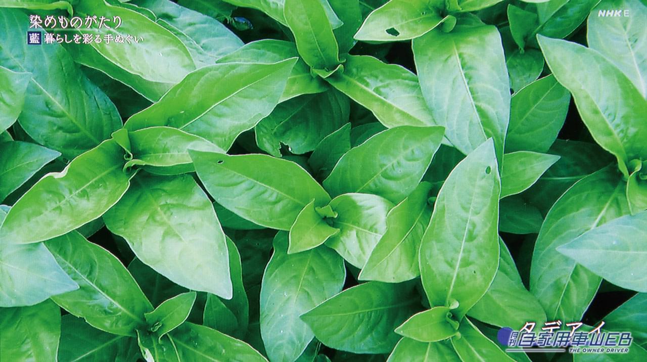 |最薄部は約4.7mm! 超スリムな10型有機ELディスプレイ搭載、ブルーレイディスクも再生可能!【CN-F1X10BGD 長期レポートvol.5】