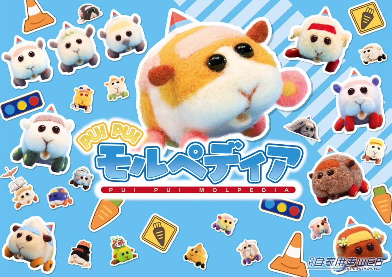 |これは車のカタログだ! 『PUI PUI モルカー』シリーズキャラクターガイドブック『PUI PUI モルペディア』
