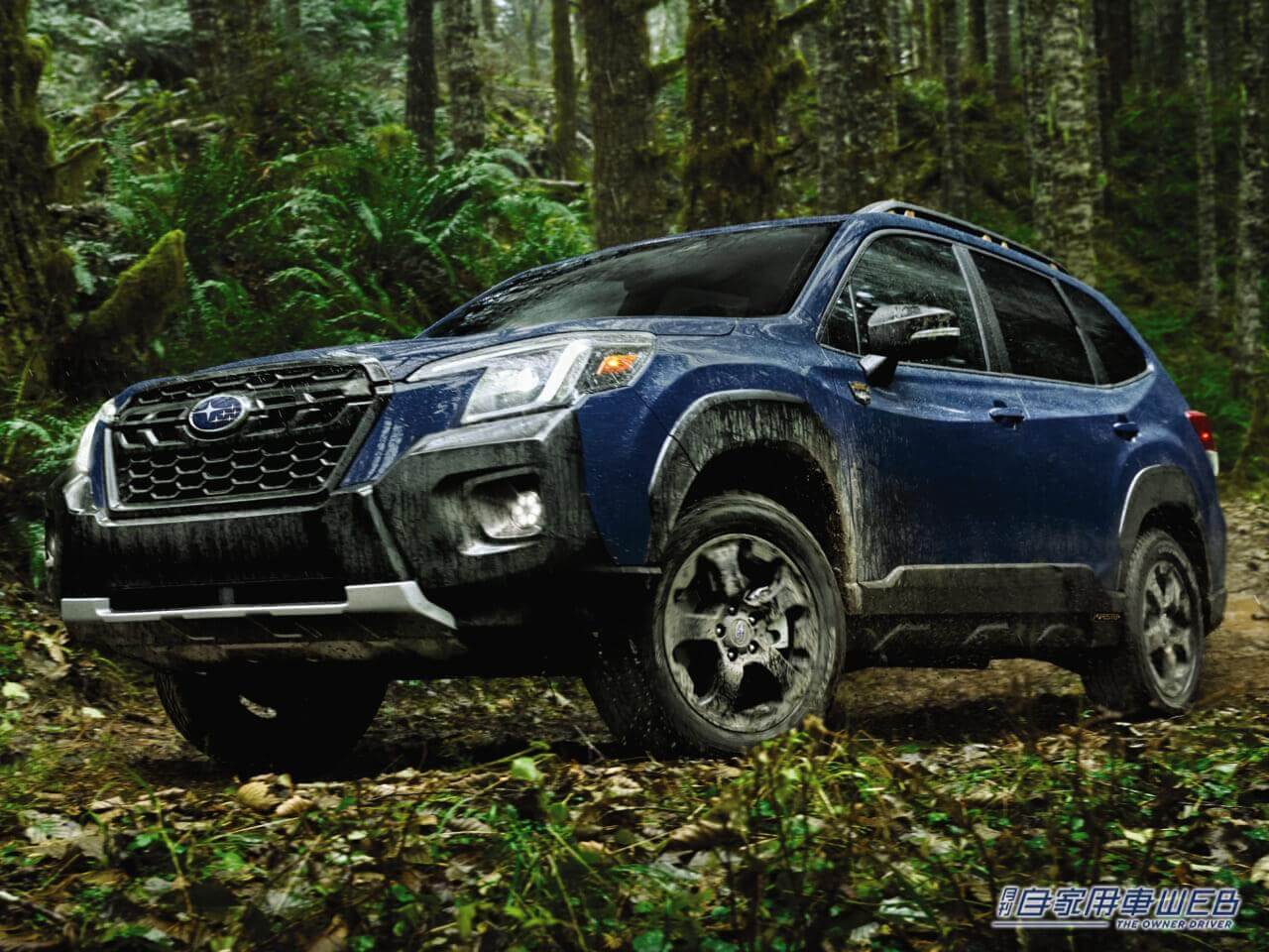 |米国スバル、SUV「フォレスター」の2024年モデル価格を発表。「ウィルダネス」日本導入は!?