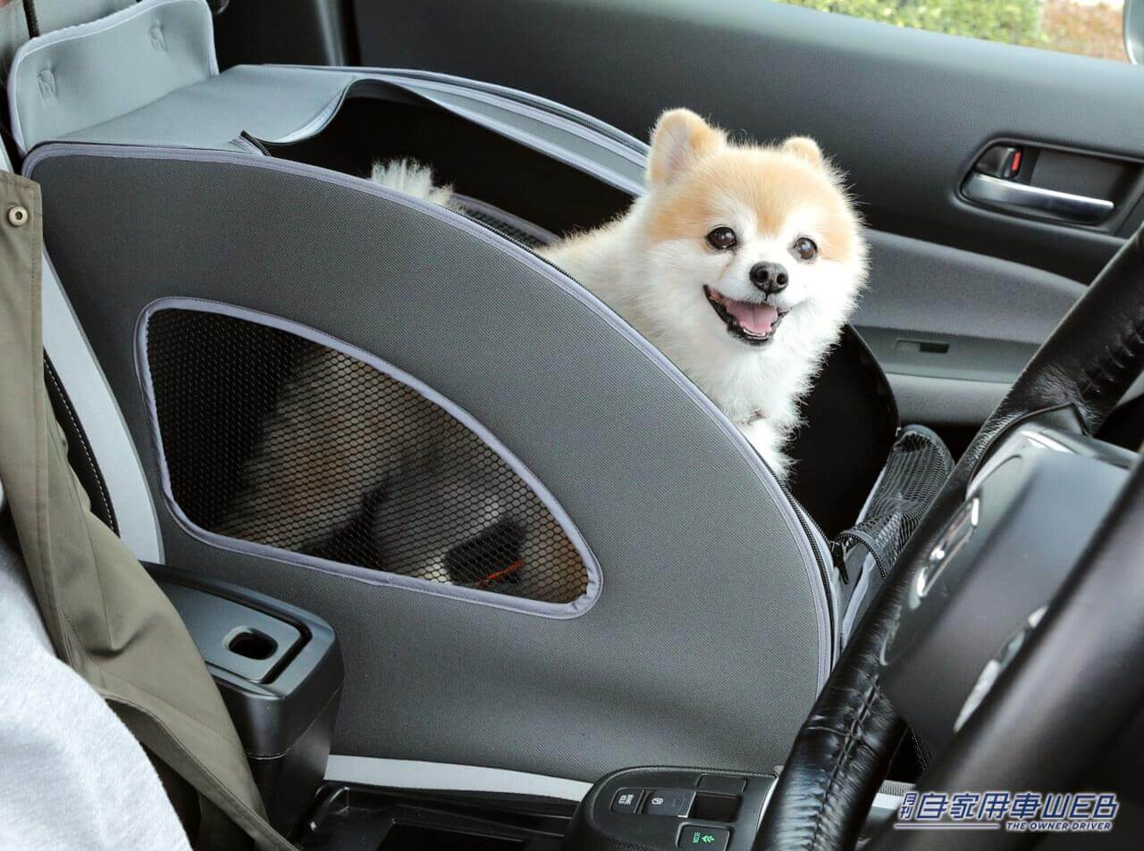 |ホンダの愛犬用アクセサリー「Honda Dog」シリーズを装着したフリードプラスが「アウトドアドッグフェスタin八ヶ岳 2023」に登場