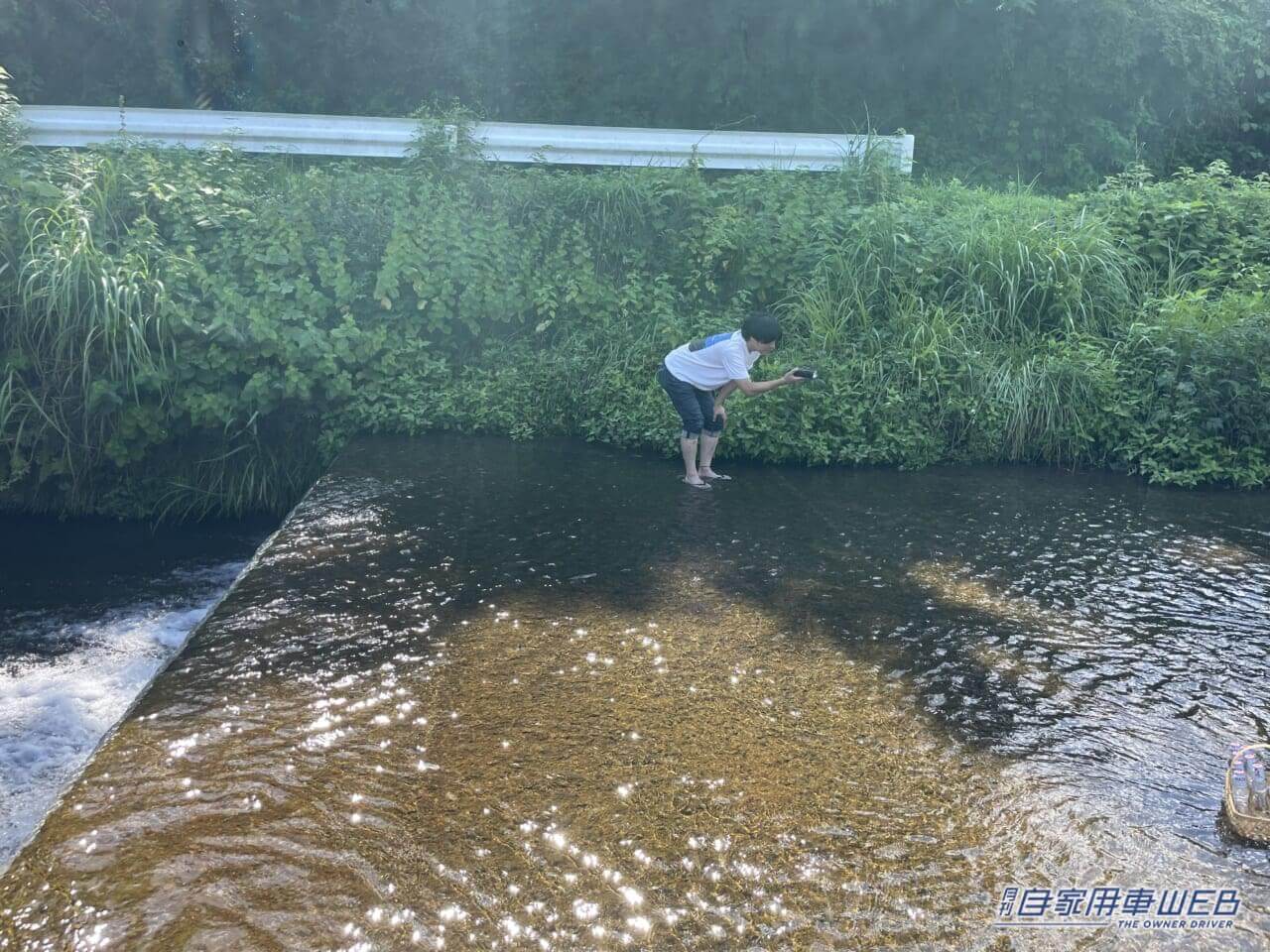 |ルノー新型カングーに乗って、メヒコにシーフード料理を食べに行ってきた!