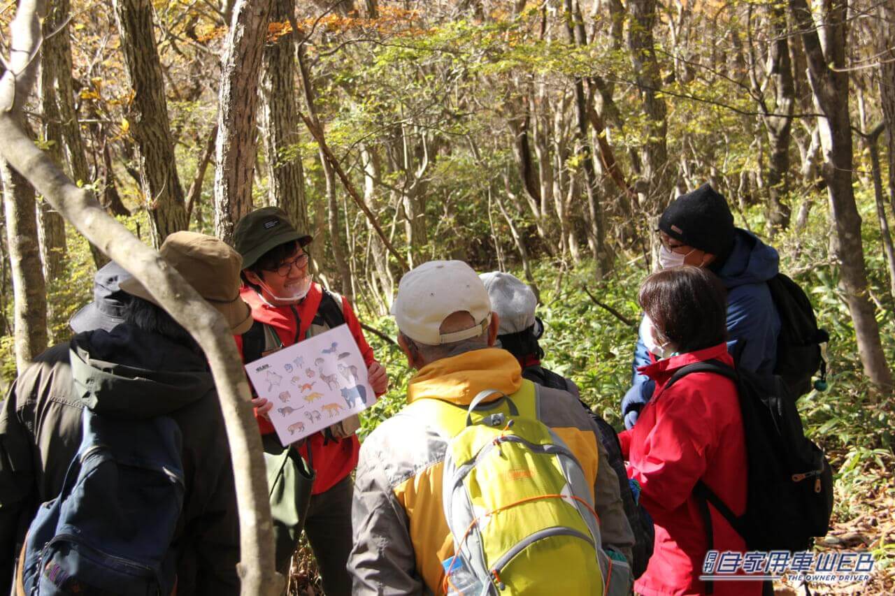 |SUBARUが「日光国立公園 那須平成の森」にバッテリーEVの「ソルテラ」を提供。全国15の国立公園の公園管理を行う「一般財団法人 自然公園財団」とパートナーシップを締結