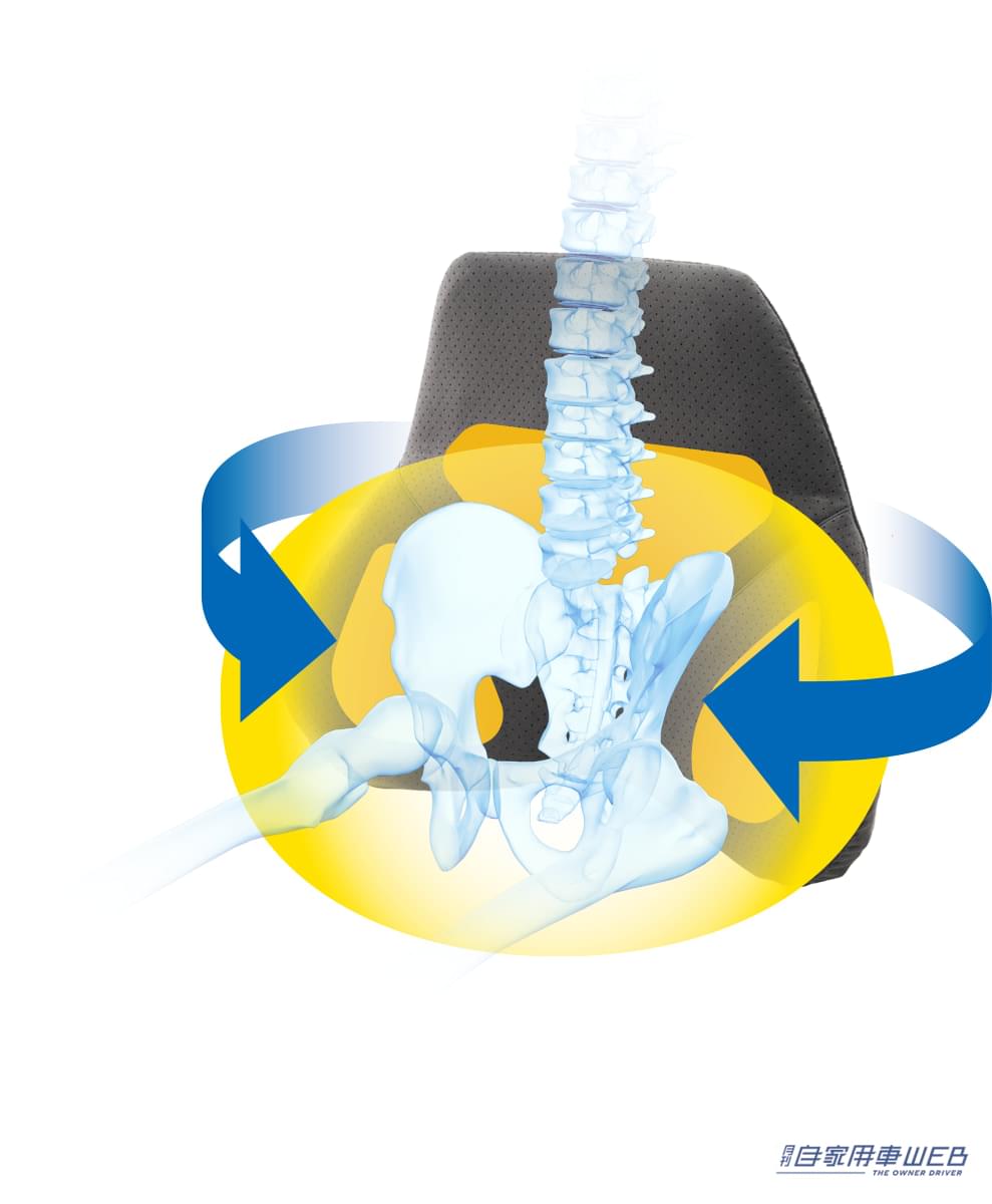 |腰痛を解決したいドライバー必見! ハグドライブシリーズで快適ドライブを