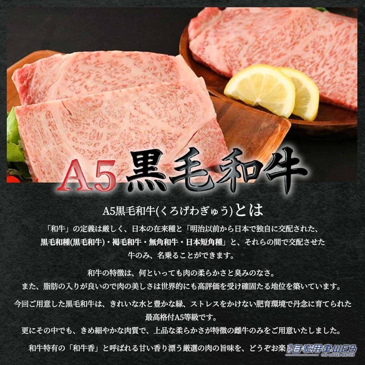 |抽選会の景品が超豪華! 入場すれば必ず参加できる「ラッフル抽選会」とは?【Street VWs Jamboree2024 4月21日(日)開催】