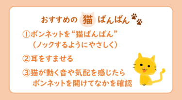エンジンルームに猫!?1か月に24件もあった猫侵入トラブル 雨の日は特に注意しよう
