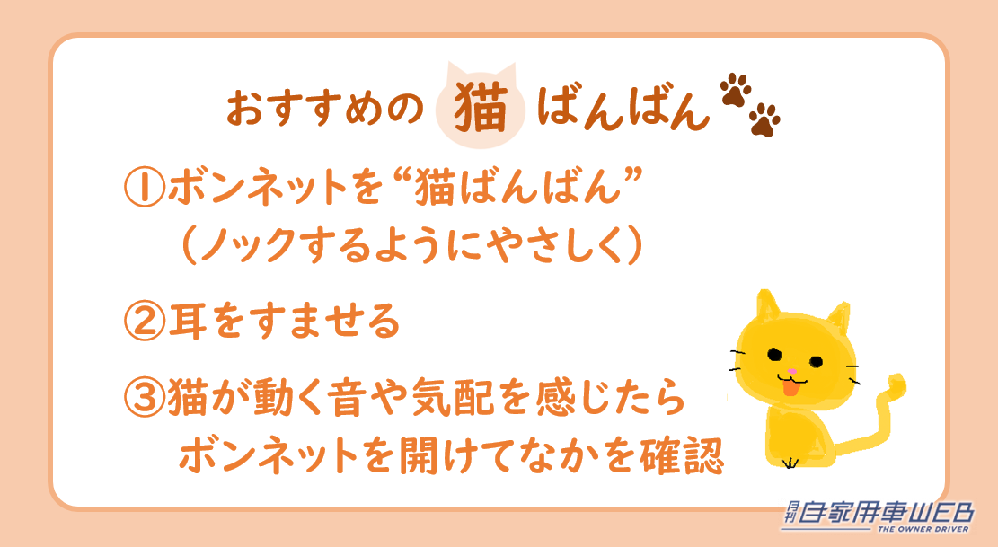 |エンジンルームに猫!?1か月に24件もあった猫侵入トラブル 雨の日は特に注意しよう