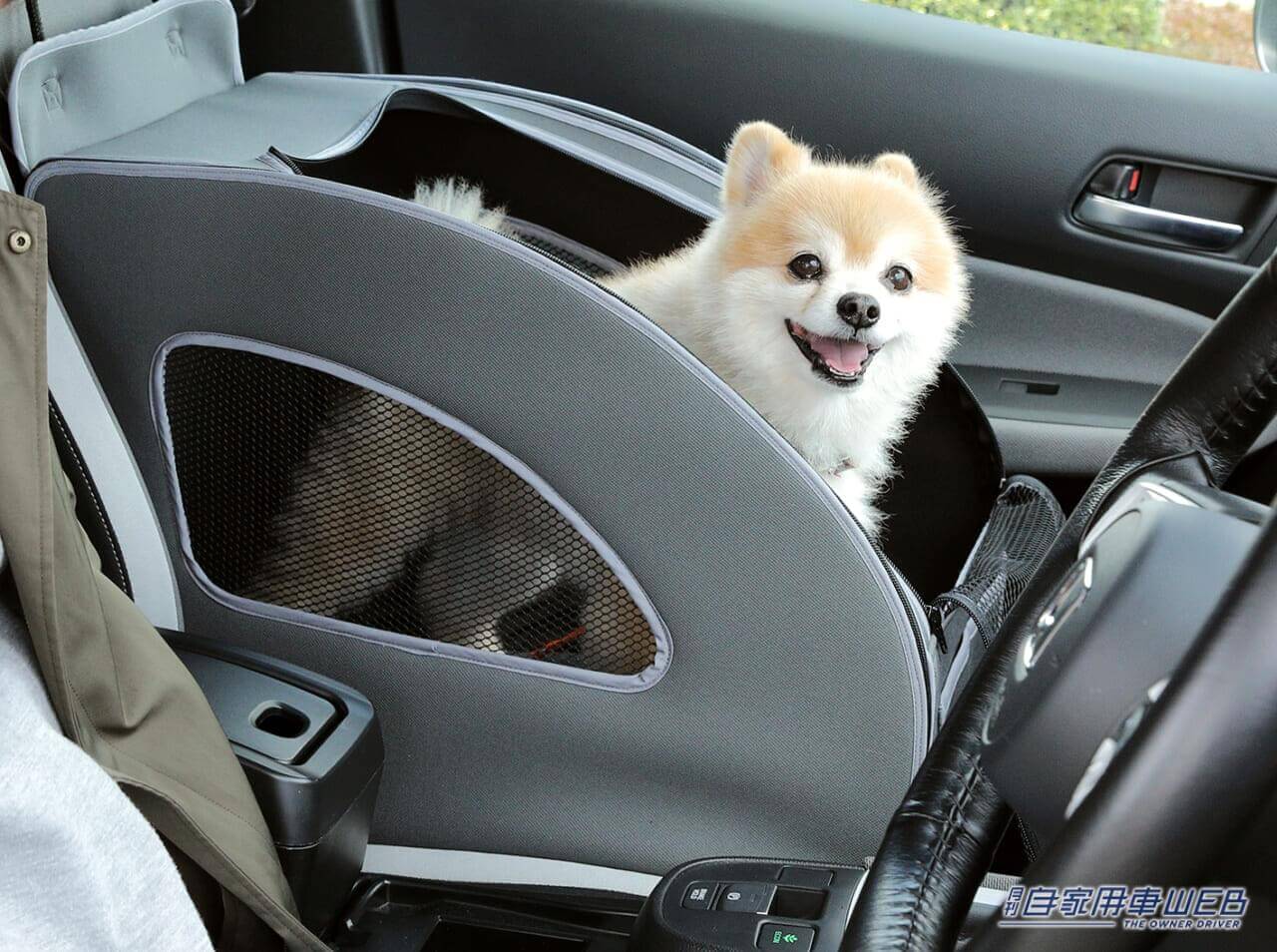 愛犬とのドライブがさらに楽しめる!Honda DogカスタムのWR-Vが「インターペット ~人とペットの豊かな暮らしフェア~」に出展