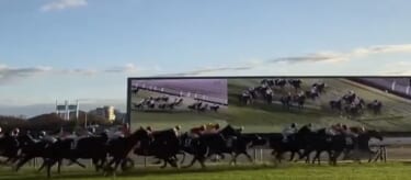 【今週末は桜花賞!】過去にはあのクルマの名前の馬が勝ってる!? “ウマ車”なG1勝利馬たち〈サクラローレル/サトノクラウンetc.〉