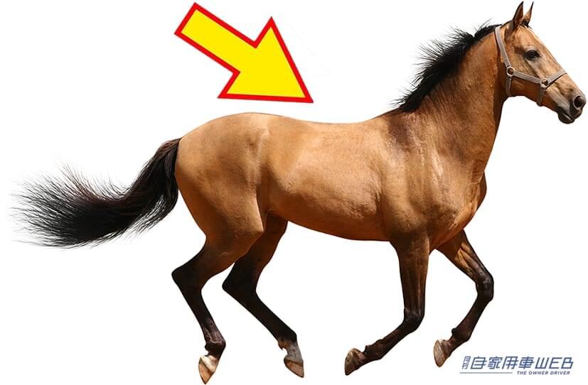 |「コイツ、実はクルマです…」馬って公道OKなの!?高速道路は?