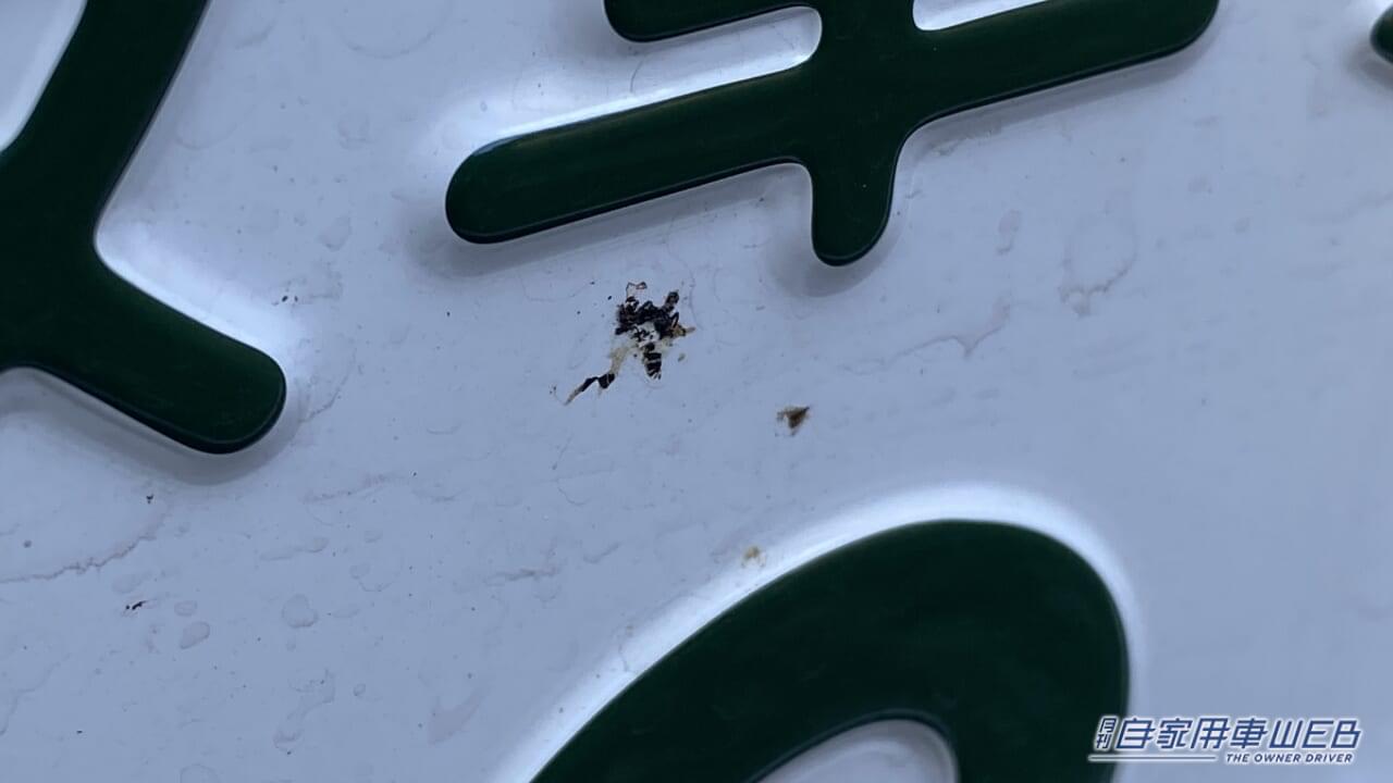 |「おいおい、勘弁してくれ…」車に血痕、突然過ぎて気持ち悪い。一体なぜ?