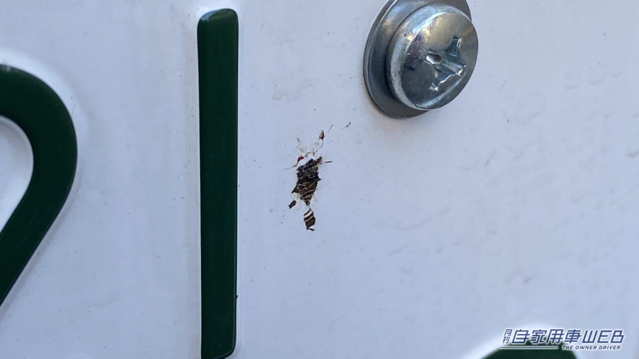 |「おいおい、勘弁してくれ…」車に血痕、突然過ぎて気持ち悪い。一体なぜ?