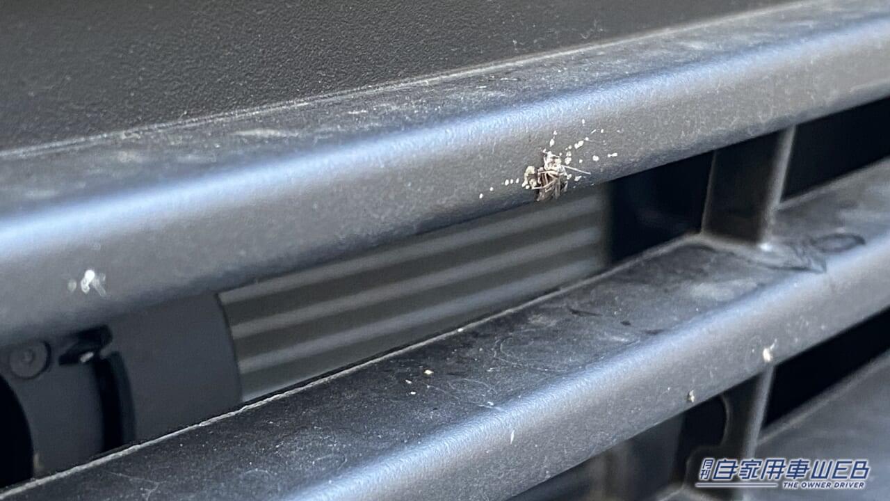 |「おいおい、勘弁してくれ…」車に血痕、突然過ぎて気持ち悪い。一体なぜ?