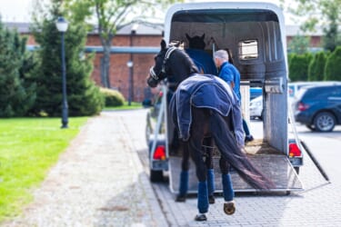 競争馬を運ぶ“馬運車”への割り込み運転、やったら検挙される可能性アリ?!