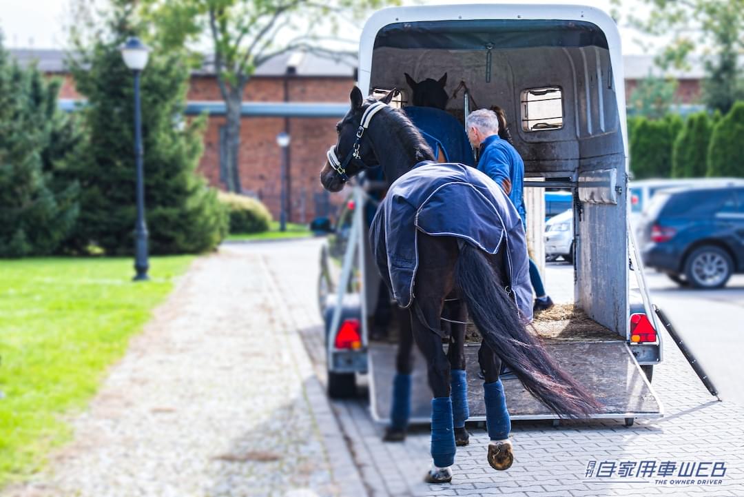 競争馬を運ぶ“馬運車”