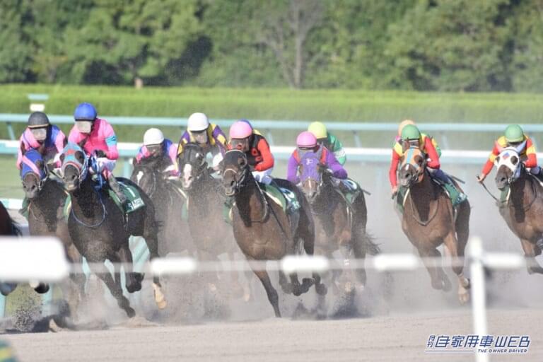 競馬のイメージ写真