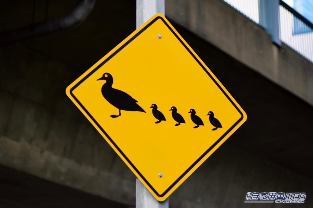 |「え、ヤバ。怖っ」意味を理解したほうが身のため…謎の標識について。