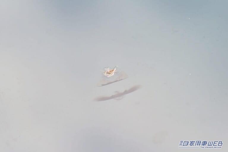 跳ね石が衝突した際に混入した異物。|「あちゃ〜飛び石…。テンション下がるなぁ」「えっ自分で修理できるの?」フロントガラスのヒビ簡単補修キットを実践!気になる仕上がりは…