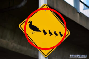 【こんな標識が…?】これは一体何に注意なの?気を付けたいポイントは?