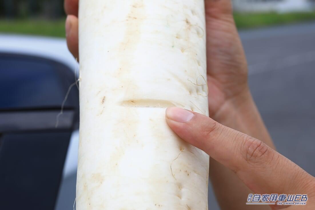 |「えぇ…これは思った以上」挟み込み実験でパワーウィンドウのパワーに驚愕… 想定以上の結果に