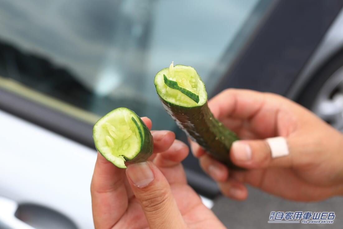 |「えぇ…これは思った以上」挟み込み実験でパワーウィンドウのパワーに驚愕… 想定以上の結果に