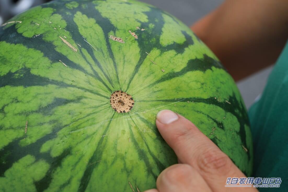 |「えぇ…これは思った以上」挟み込み実験でパワーウィンドウのパワーに驚愕… 想定以上の結果に