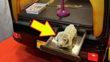 「愛犬家は絶対見てほしい」「これは絆が深まる」愛犬との旅にベストな車! スズキ エブリイがベースの軽キャンパー