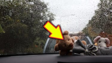 車に「フィギュア・ぬいぐるみ」置いとくのヤバい? 意外な結果「結構やりがち」「今スグどかさなきゃ」