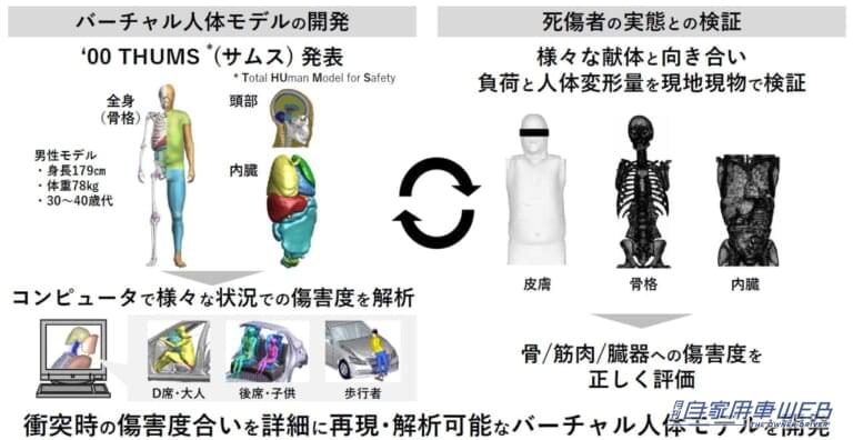 トヨタ自動車 安全技術説明会|THUMS(サムス)|「事故を起こさないクルマ!?」「さらに普及してほしい…」“交通事故ゼロ”を目指すトヨタ、その安全への取り組みと考え方を体験してきた