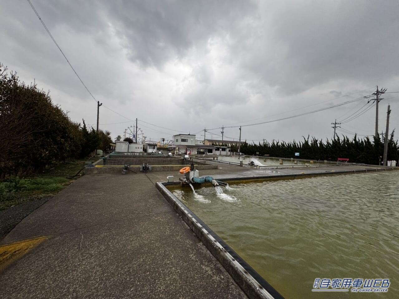 |ルノー・アルカナで行く“1000km”超えの釣り遠征!噂のイーテックフルハイブリッドの燃費&走行性能をズバリ!