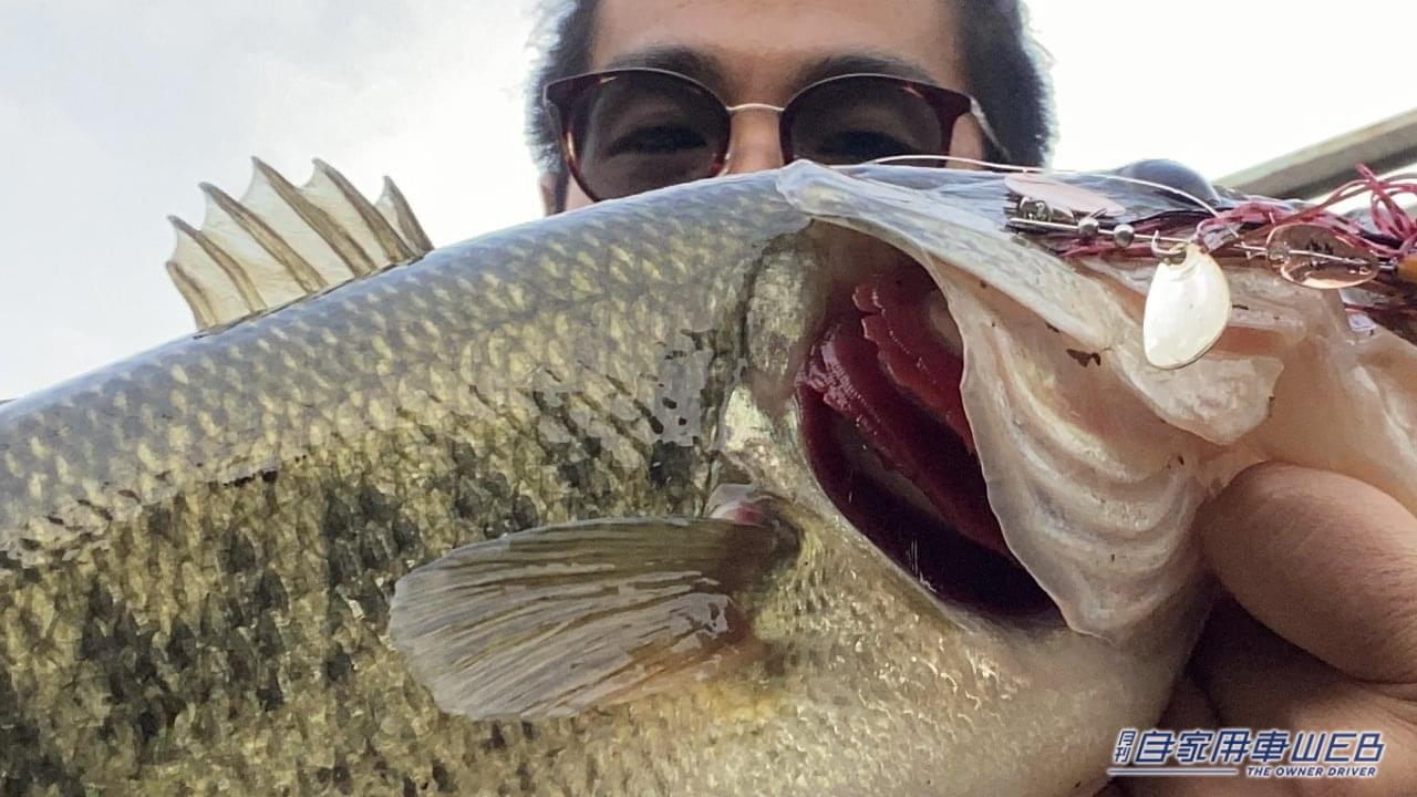 |「えっ ちいさっ!」「グッドなサイズ感」持っていると幸せになれる。アウトドアショップでみつけた便利グッズを紹介。