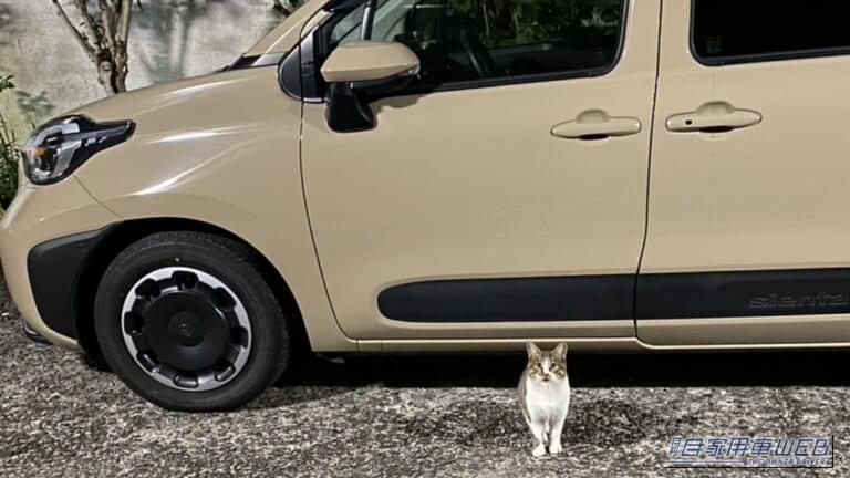 クルマの下から出てきた猫。｜「戦慄した…」夜の駐車場でよく見かける、実はかなり怖い状況。命を落とす危険、想像するだけで痛ましい。